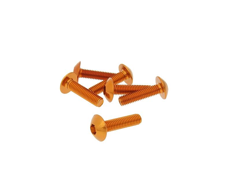 Skruvkit 6st till kåpor M5x20 - 4