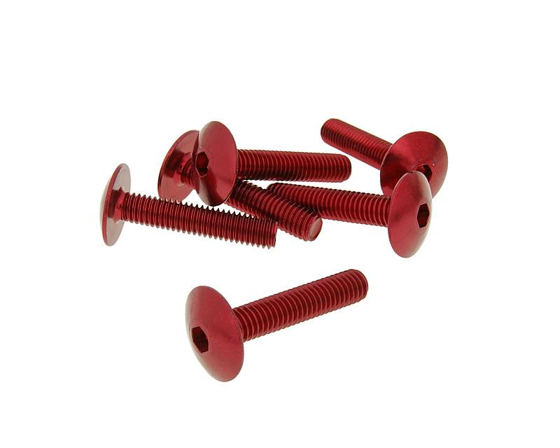 Skruvkit 6st till kåpor M6x30