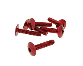 Skruvkit 6st till kåpor M6x30