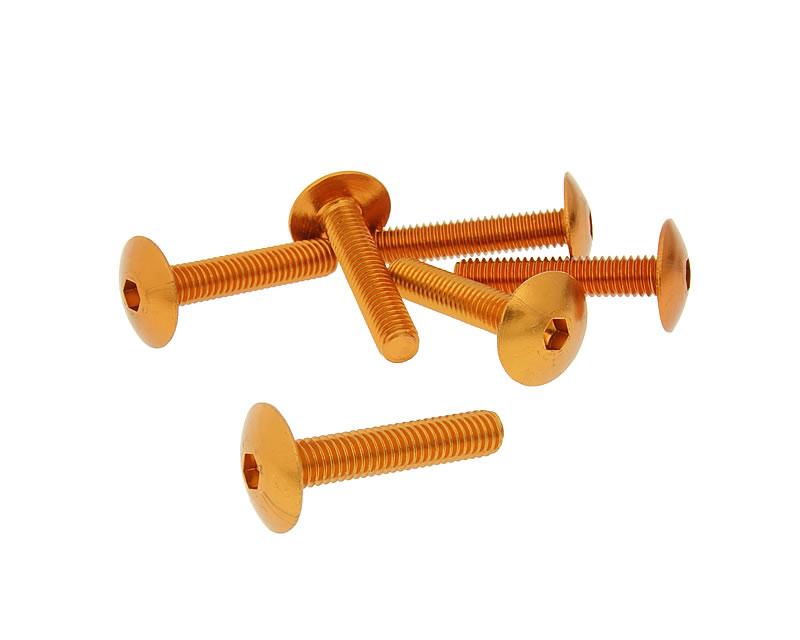 Skruvkit 6st till kåpor M6x30 - 4