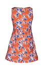 Ginger Ruu-Muu