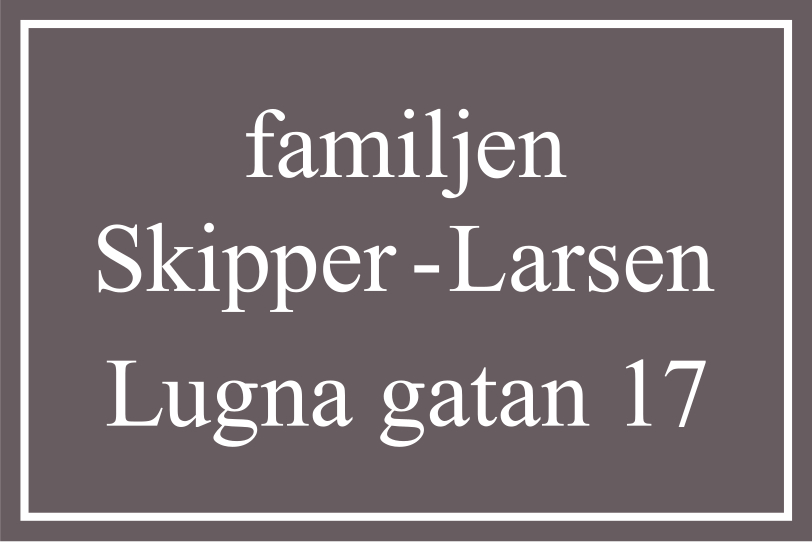 Namensschild Mittelgrau, Times regular / Gerade - 6