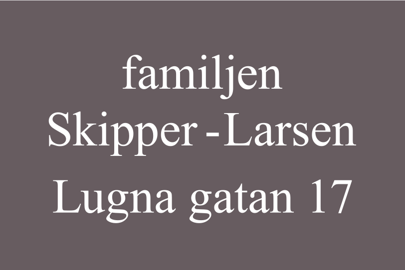 Namensschild Mittelgrau, Times regular / Kein - 6