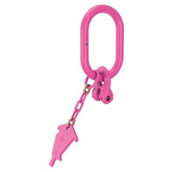 Ögla RUD VIP VAK-1-20 Klass 10,  1-partigt redskap 20 mm / Maxlast: 16 Ton 0-45°