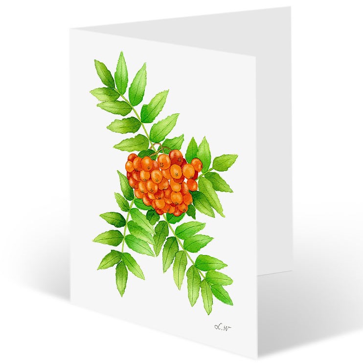 Paketkort "Rönnbär"