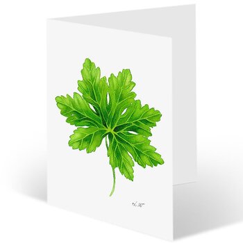 Paketkort "Grönska"