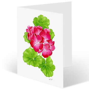 Paketkort "Spira"