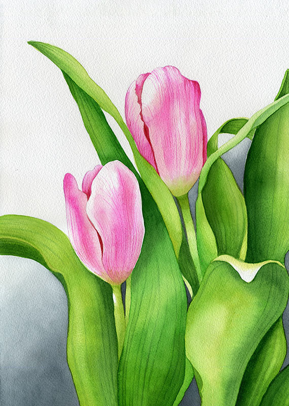 Akvarell "Tulips1" 