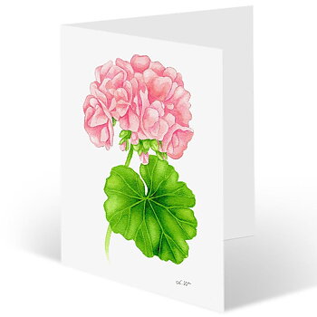 Paketkort "Solo"