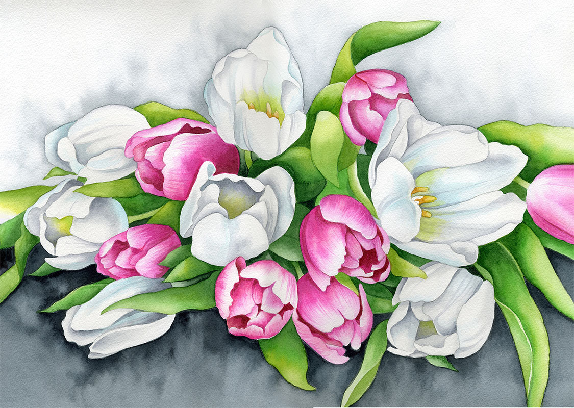 Poster "Tulips" a3