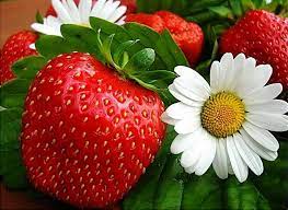 Midsommarafton och Midsommardagen Har vi stängt 