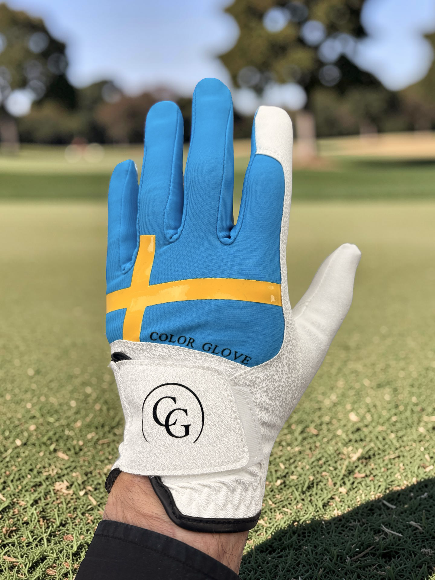 Color Glove - Sweden