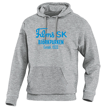 Hoodie "BJÖRKPARKEN" Grå/blå Junior