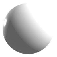 Vit