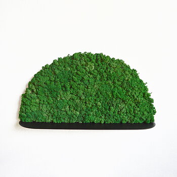 MOONY moss shelf