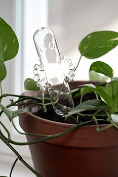Hattifattener Watering Bulb