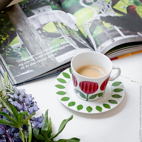 Kaffekopp med fat 25 cl, Retro Lingon 