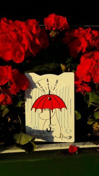 Snorkmaiden in the Rain Parking disc - 4