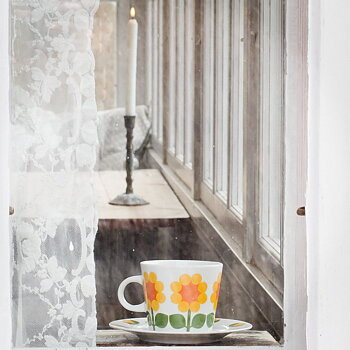 Kaffekopp med fat 25 cl, Hjortron 