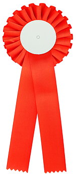1-Krans Rosett Orange - 310x110 mm Ø mm - Mittplatta med eget motiv i färg ingår i priset