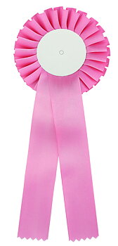 1-Krans Rosett Rosa - 310x110 mm Ø mm - Mittplatta med eget motiv i färg ingår i priset