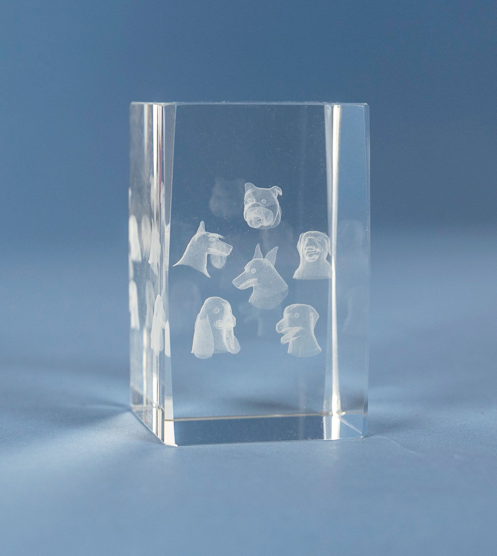 Brukshundar i 3D glas - 4 olika storlekar - Inklusive skylt med text