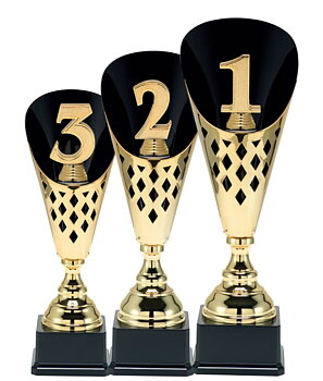 Guldpokal i metall 1:a, 2:a, 3:a Trophies  - 3 olika storlekar - Inklusive skylt med text