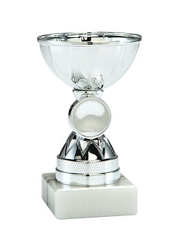 Silverpokal Sunne - 120 mm - Inklusive jetong och skylt med text