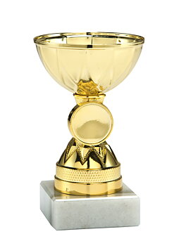 Guldpokal Grums - 120 mm - Inklusive jetong och skylt med text