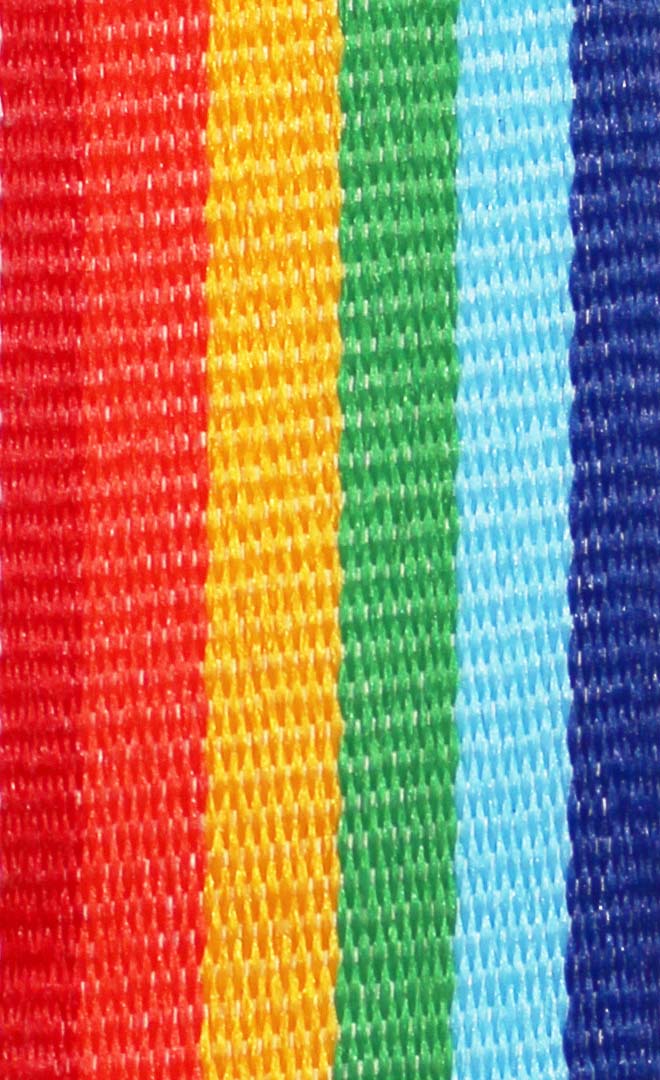 Medaljband Långt 800x22 mm - Rainbow