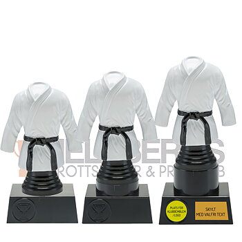Statyett Kampsport Sport Trophies - 135/150/165 mm - Inklusive skylt med text