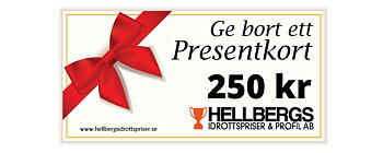 Presentkort 250 kronor