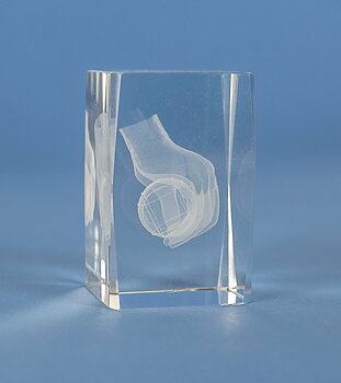 Boule i 3D glas - 4 olika storlekar - Inklusive skylt med text