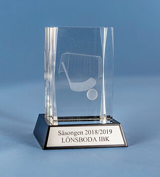 Innebandy i 3D glas - 4 olika storlekar - Inklusive skylt med text
