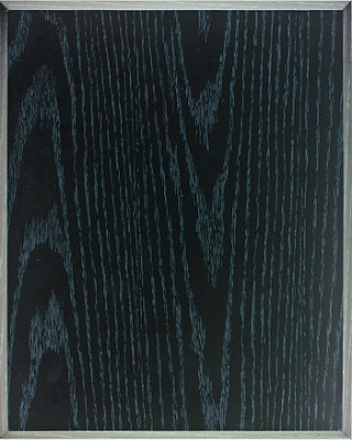 Väggplakett SVART 225x175 mm - 2