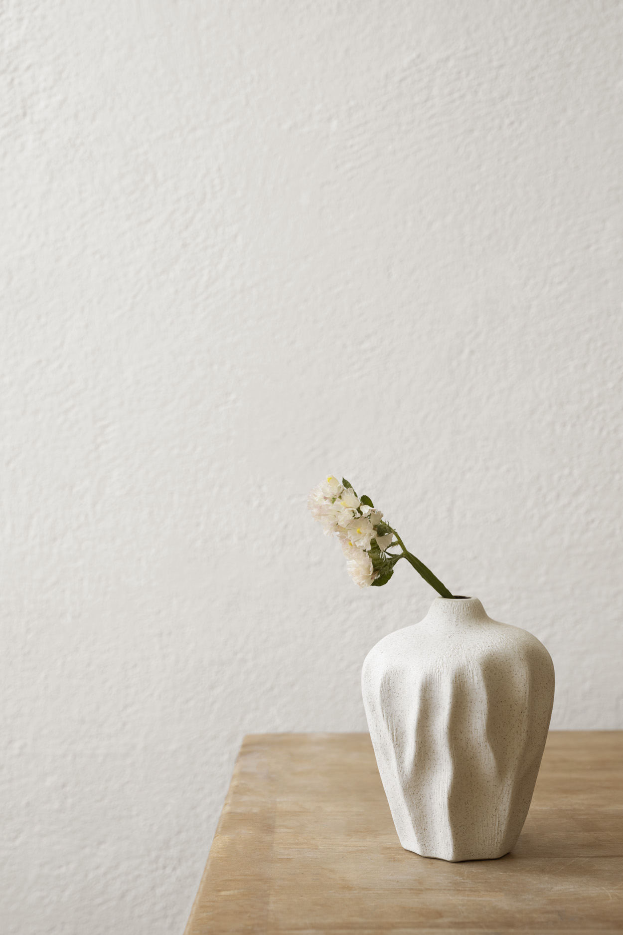 Flower Seed no 1  SandWhiteLight - 2