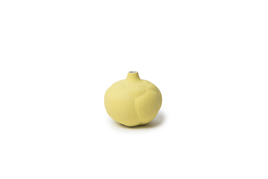 Flower Bud Yellow