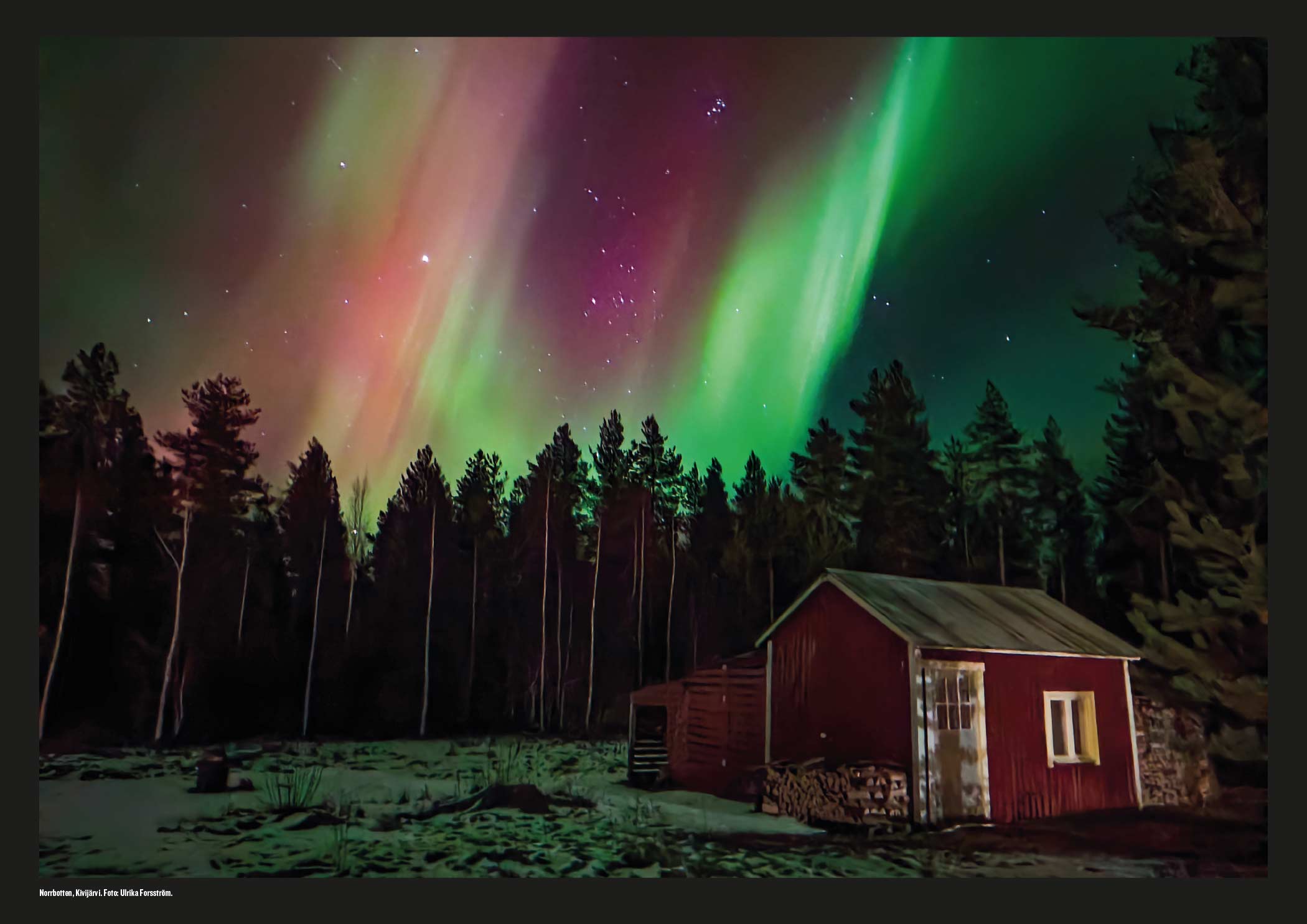 ALMANACKAN NORRLAND MAGIC 2026 - 14