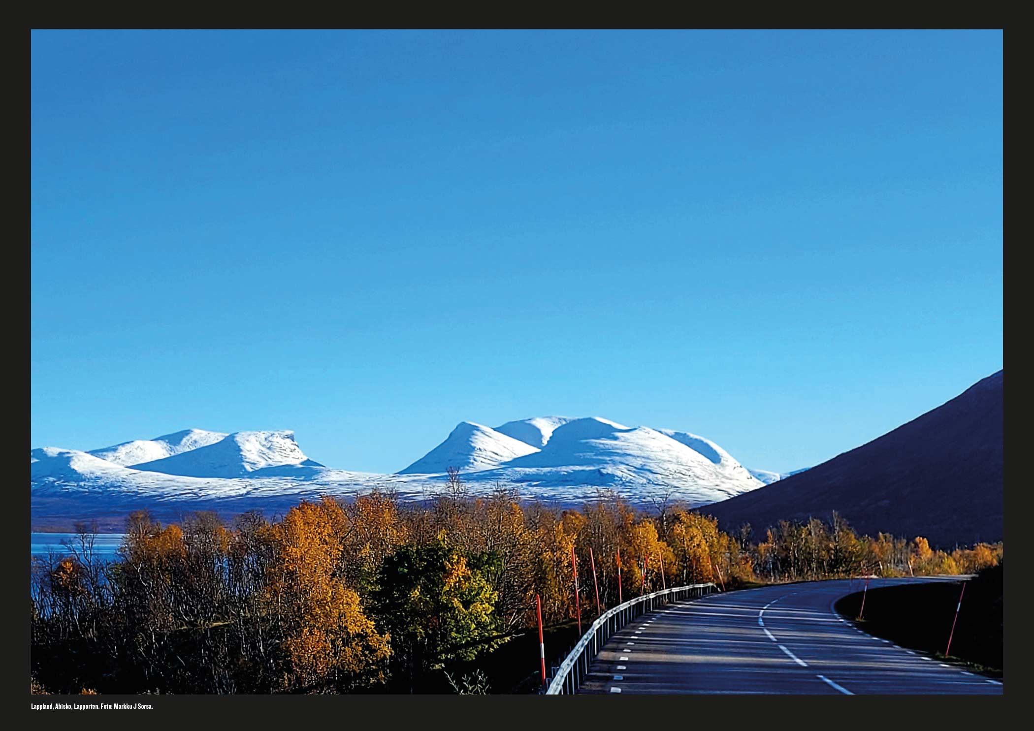 ALMANACKAN NORRLAND MAGIC 2026 - 11