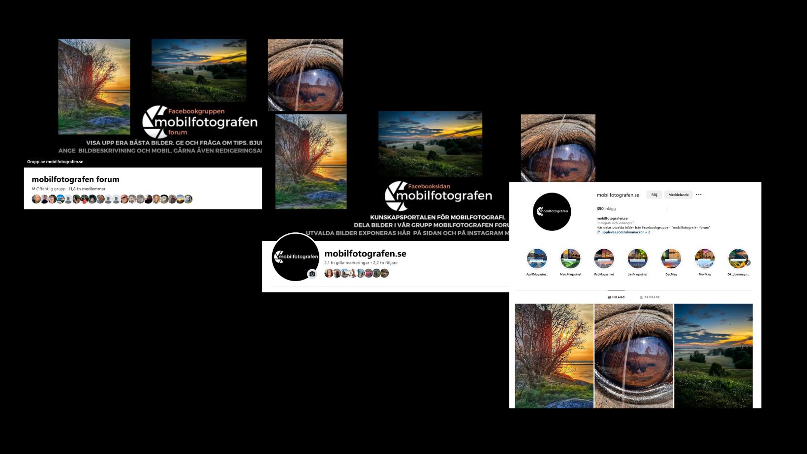 Process and Timeline
