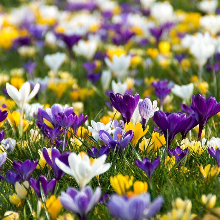 Våra öppettider: Mån - Fre  07.30 - 17.30 Lör 09.00 - 13.00, Sön - Stängt