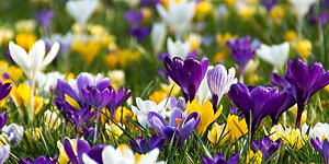 Våra öppettider: Mån - Fre 07.30 - 17.30 Lör 09.00 - 13.00, Sön - Stängt