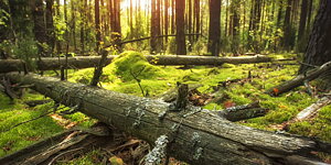 VÄLKOMMEN in till oss!