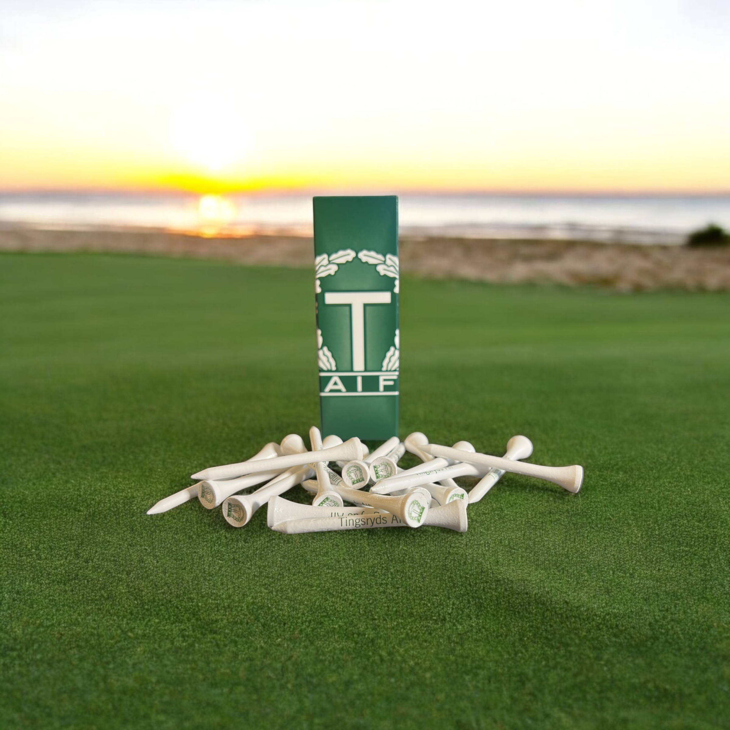 Golfpeggar 20-pack Tingsryds AIF