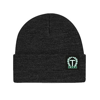 Cuffed Beanie TAIF svart