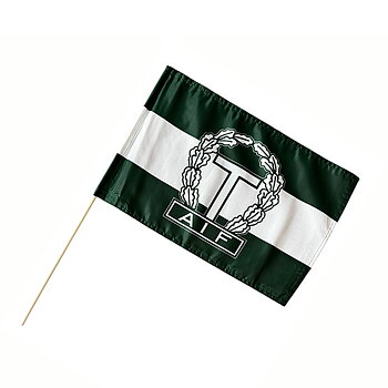 Handflagga Tingsryds AIF