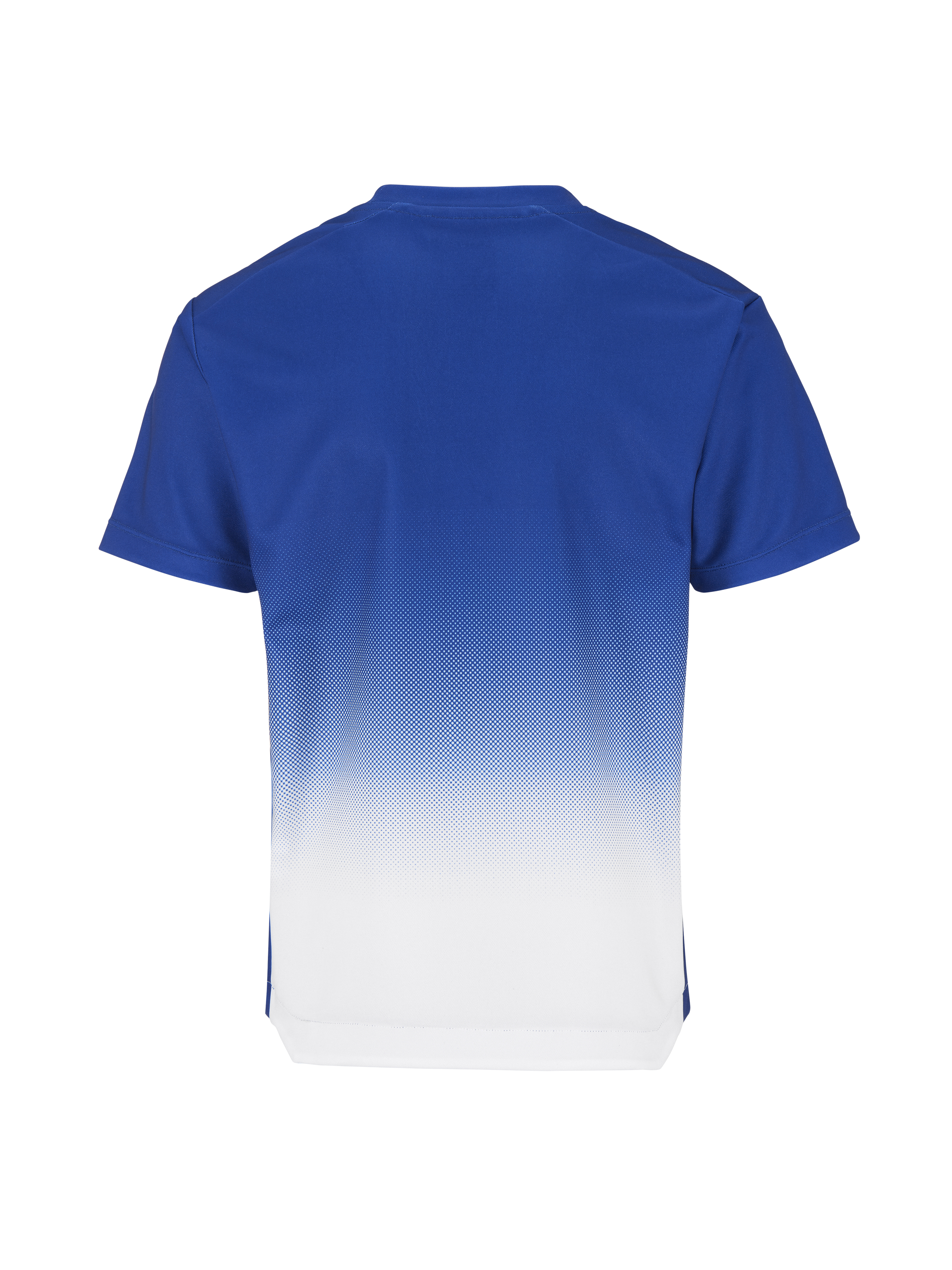 EVOLVE 2.0 STRUCTURED GRAPHIC JERSEY JR - 17