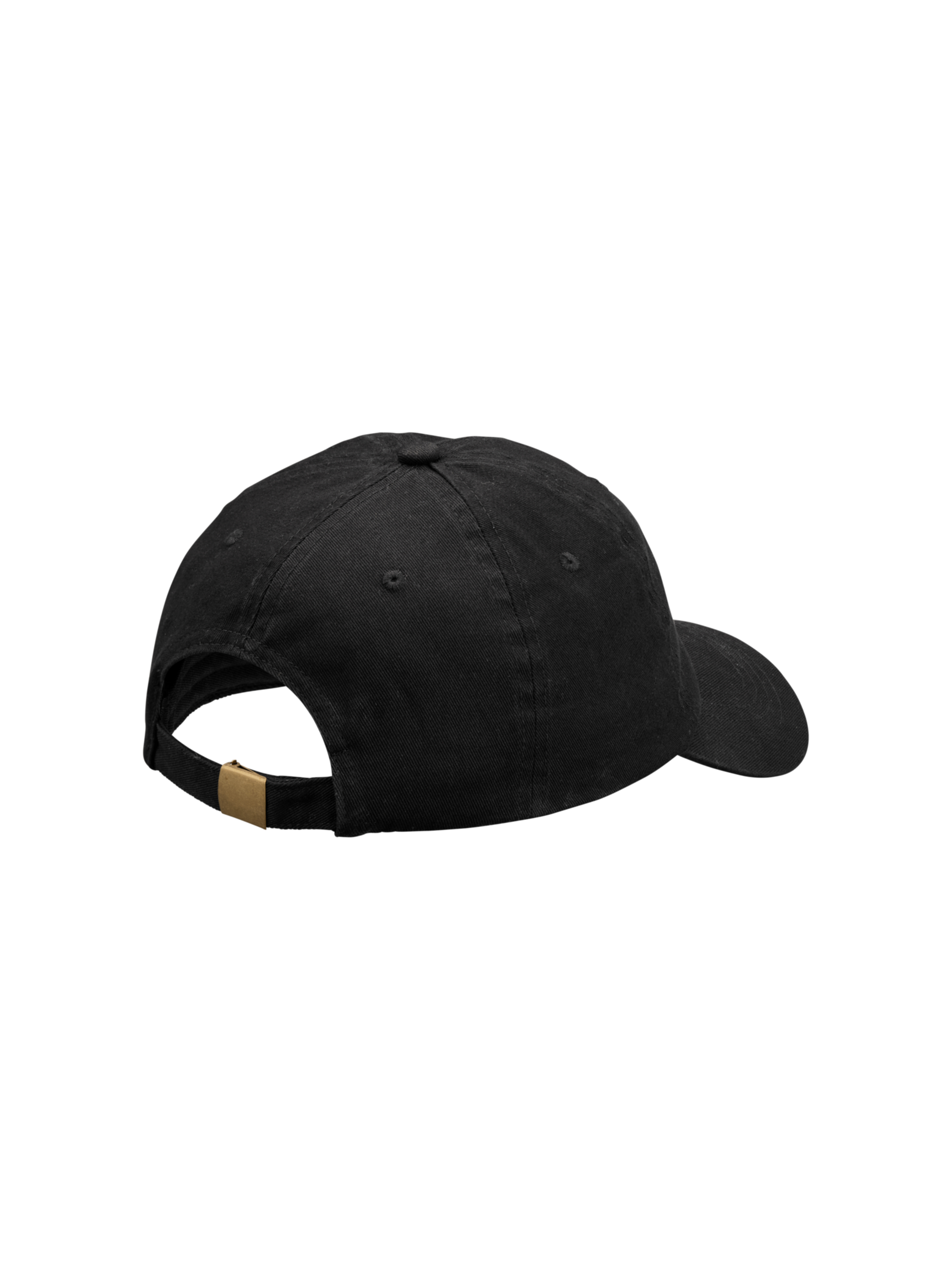 ABILITY LOGO CAP - 2