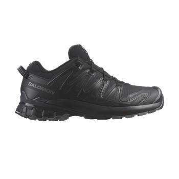 XA Pro v9 GTX Shoe