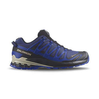 XA Pro v9 GTX Shoe